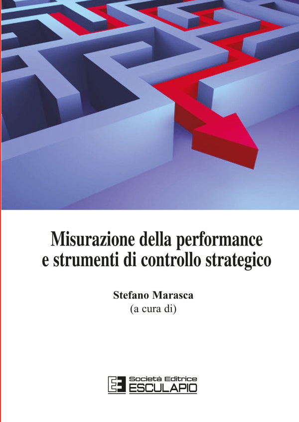 MARASCA - Misurazione della performance e strumenti di controllo strategico