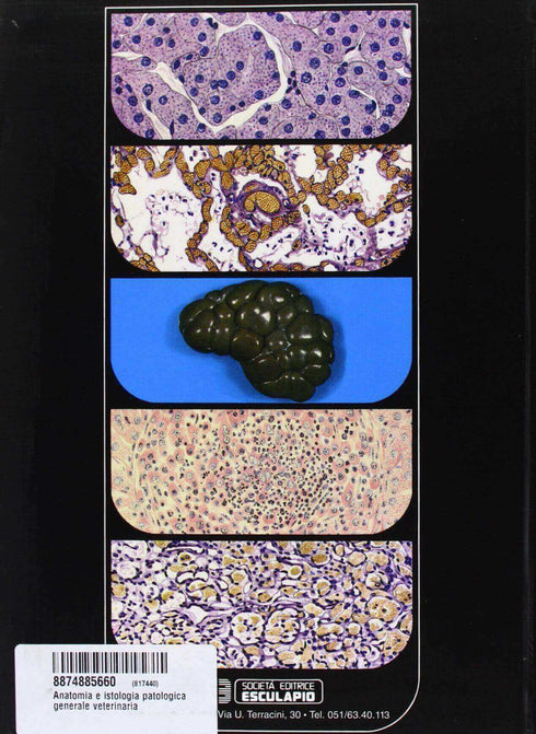 MARCATO - Anatomia e istologia patologica generale veterinaria