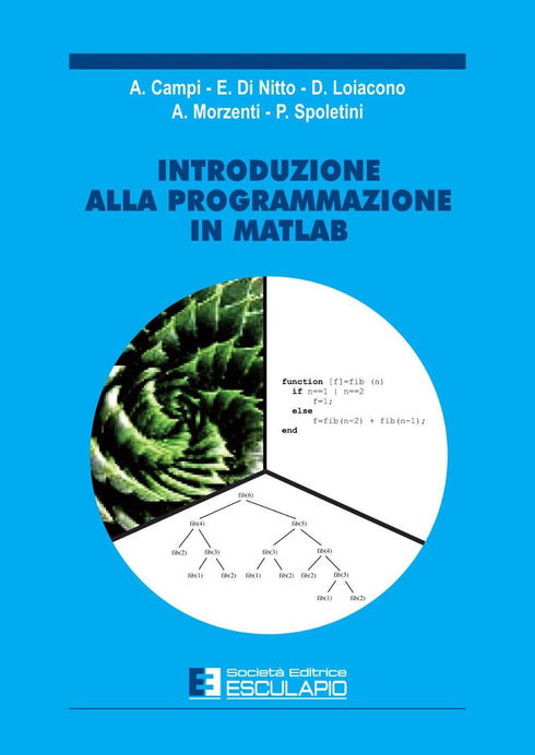 MORZENTI CAMPI DI NITTO LOIACONO SPOLETINI - Introduzione alla programmazione in Matlab