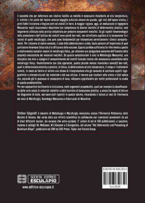 SPIGARELLI - Metallurgia Meccanica